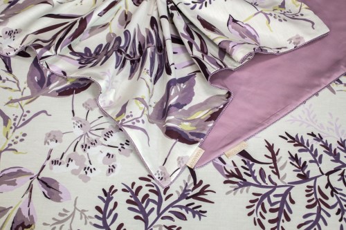 Амальфи (роза антика) Cotton